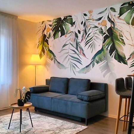 Apartmán King Bed 4 People Near Basel, Switzerland, Weil Am Rhein, Loerrach, Germ'Any, Near Airport Saint-Louis  Exteriér fotografie